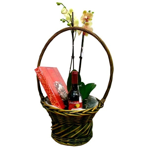Cesta de Orquideas con vino y bombones